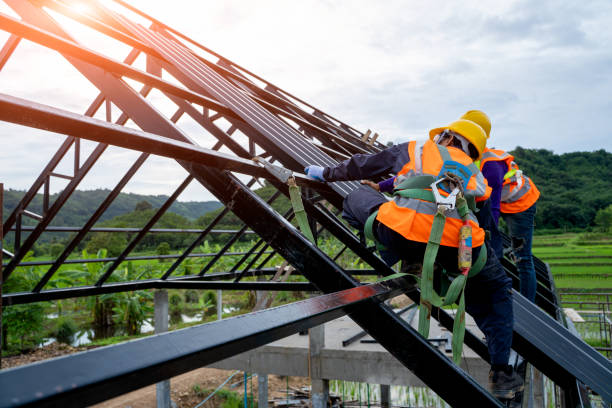 Best Best Roofing Contractors  in Chinook, MT
