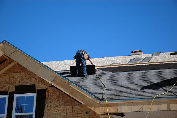 Best Storm Damage Roof Repair  in Chinook, MT