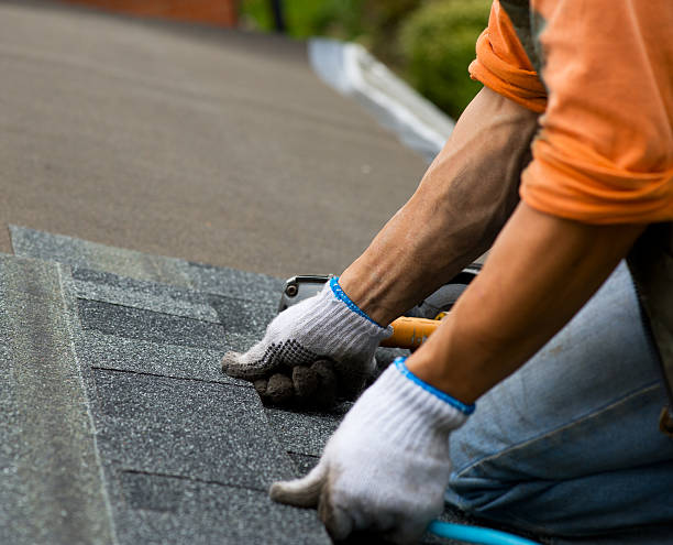 Best Roof Repair Services  in Chinook, MT