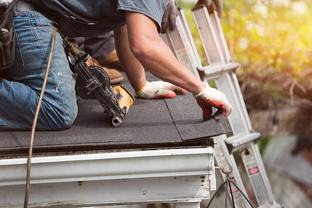 Best New Roof Installation  in Chinook, MT