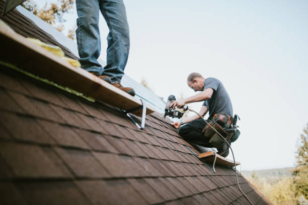 Best Residential Roofing Contractor  in Chinook, MT